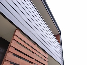 ハシエ・ノイエ